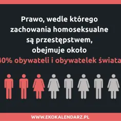 Prawo penalizujące zachowania homoseksualne dotyczy 40% świata. To wciąż problem, który dotyka wielu, także w Polsce.
