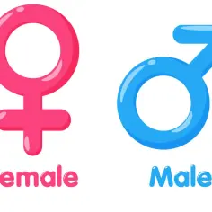 Różowe i niebieskie symbole płci, "Female" i "Male", obok siebie. Symbolika ta może być punktem wyjścia do rozmowy o tym, jak zmienić płeć.
