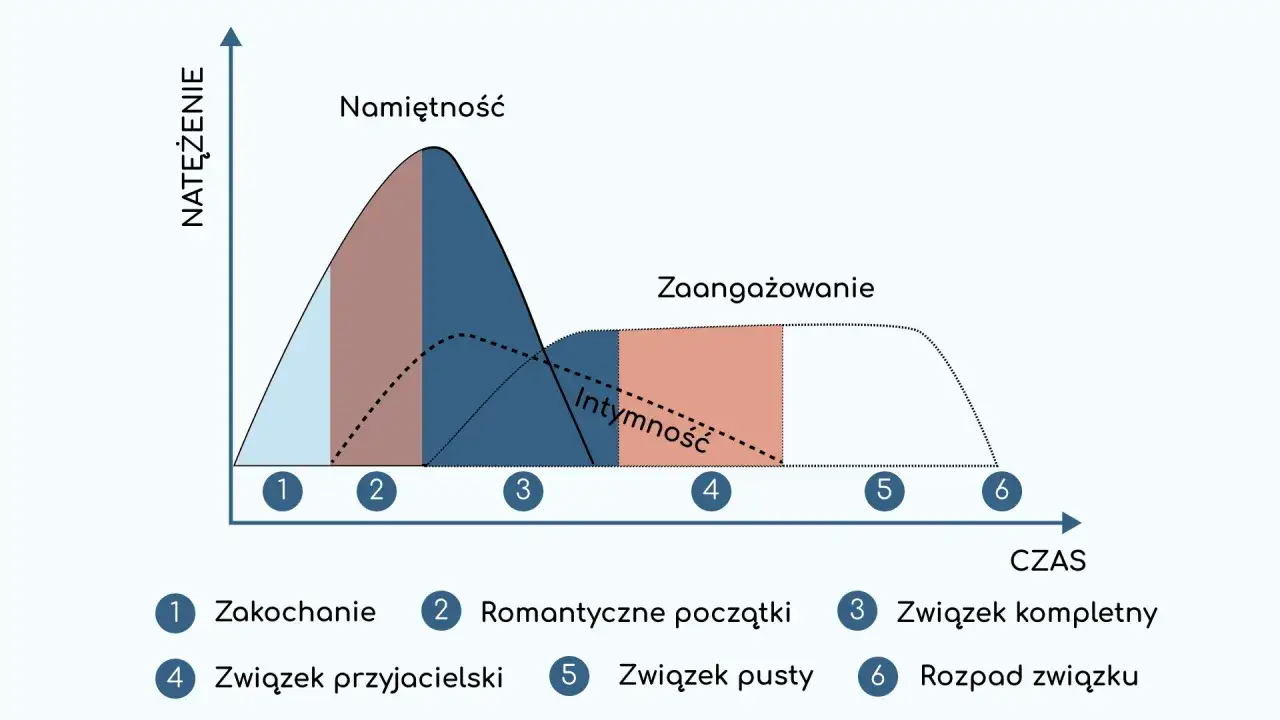 Wykres przedstawia ewolucję związku: od zakochania, przez namiętność, intymność i zaangażowanie, aż po związek kompletny, przyjacielski, pusty lub rozpad.