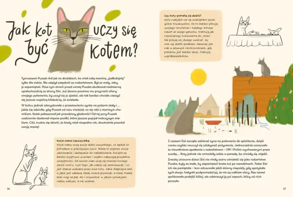Koci chłopak - Poznaj jego znaczenie i odmiany w popkulturze