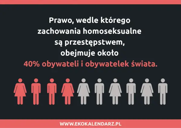 Homofobia w Polsce - Jak działa i co naprawdę zmienia?