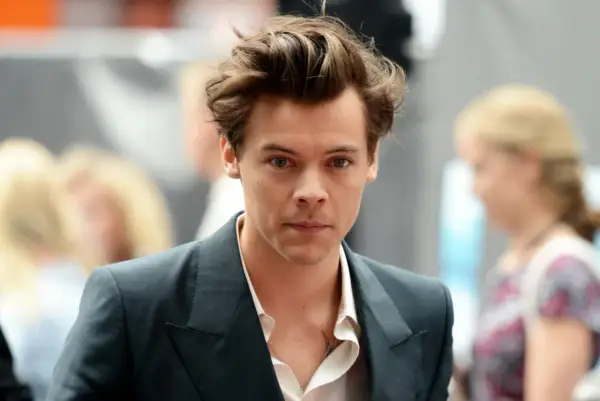 Harry Styles gejem - Fakty czy domysły o orientacji?